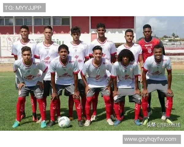 深圳足球队实力分析与表现评估的深度研究与探讨